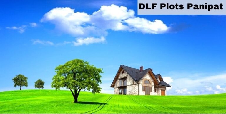 DLF Plots Panipat