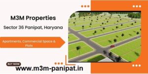 M3M Plots Panipat