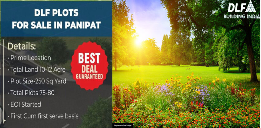 DLF Plots Panipat