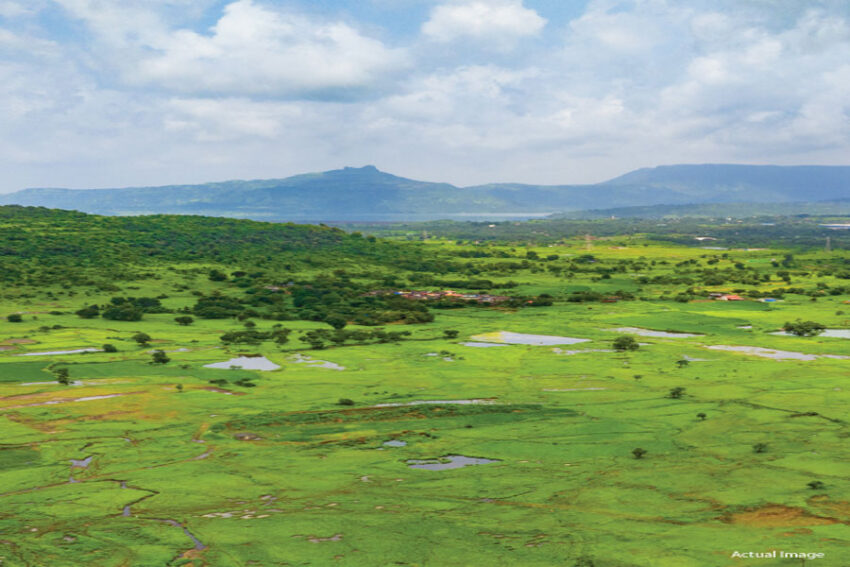 Plots in Sector 151 Noida